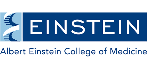 einstein logo